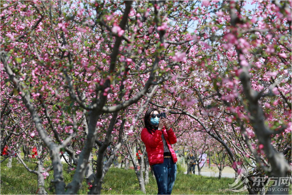 黄兴公园四季特色,黄兴公园美景