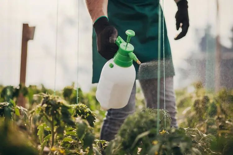 13岁女孩喝下百草枯后续最近消息,13岁女孩喝下百草枯事件全过程