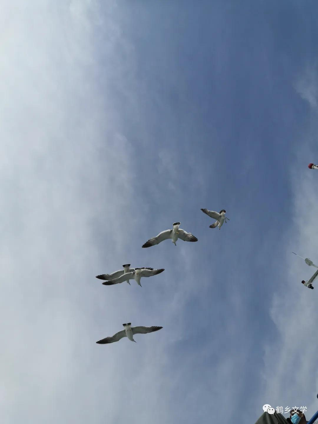 有关韩嘉川的视频,韩嘉川代表作品