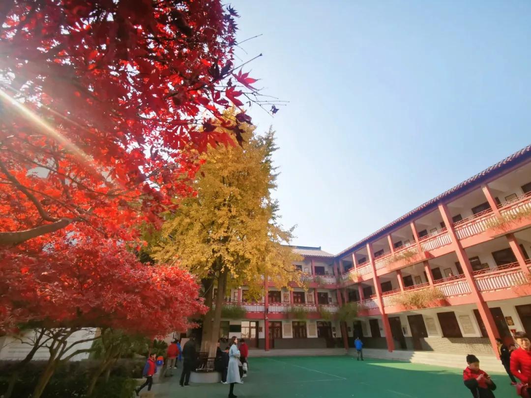 最美的风景美丽的校园,最美的风景就是校园