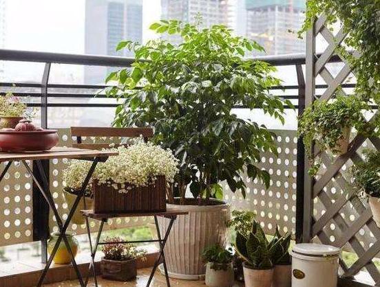 发霉的玉米面做肥料,发霉的玉米面能沤肥吗