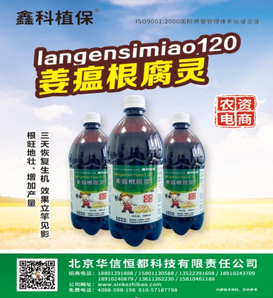 姜瘟病怎么预防和治疗,预防姜瘟病的生物菌有哪几种