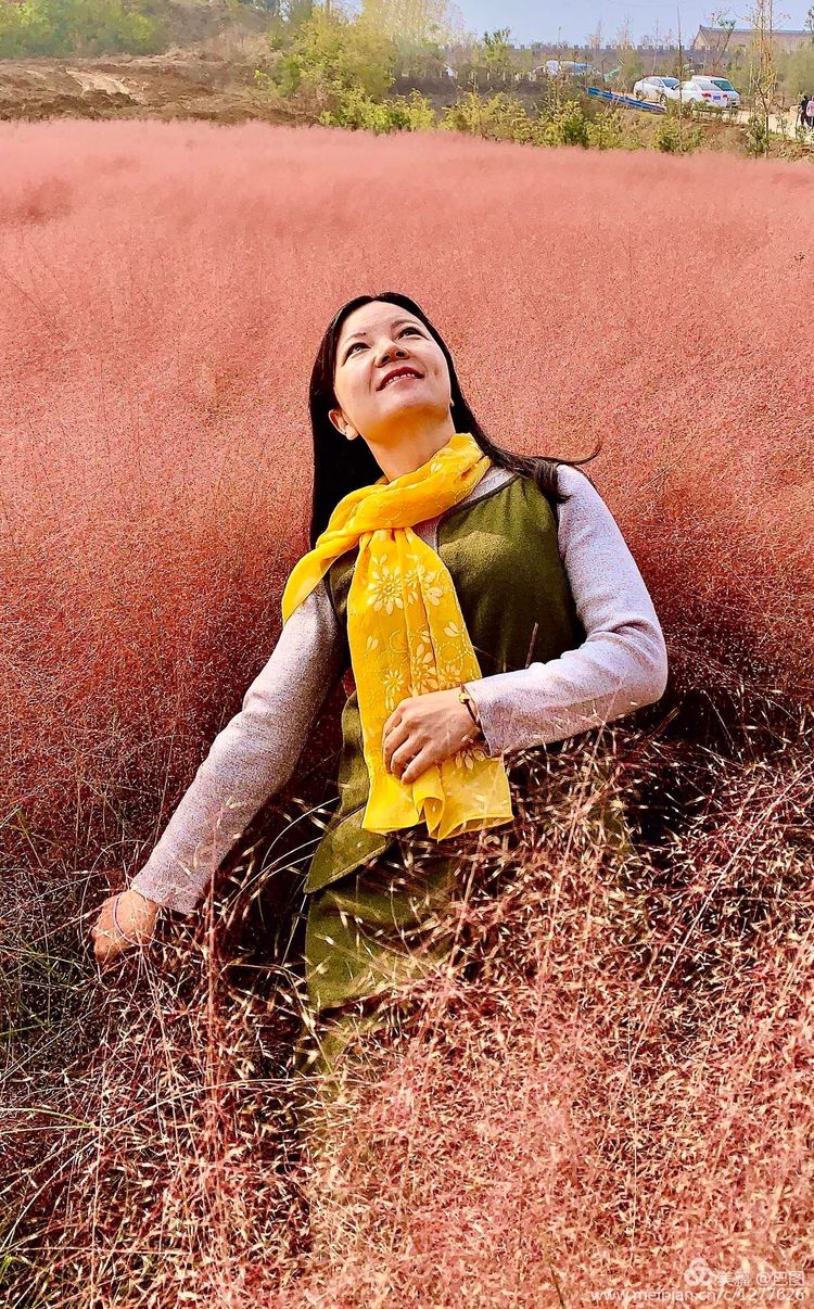 洛阳晚报作品,洛阳晚报2020年