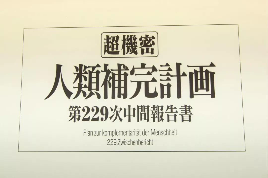 eva五个角色选谁,eva角色含义