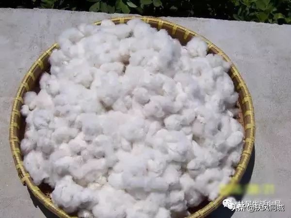 扶风绛帐镇结婚嫁女民俗,扶风婚礼结婚过程