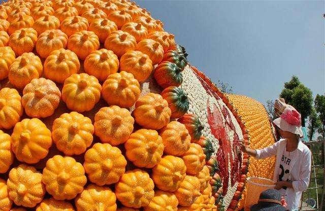 花卉蔬菜制作教程,花卉怎么做