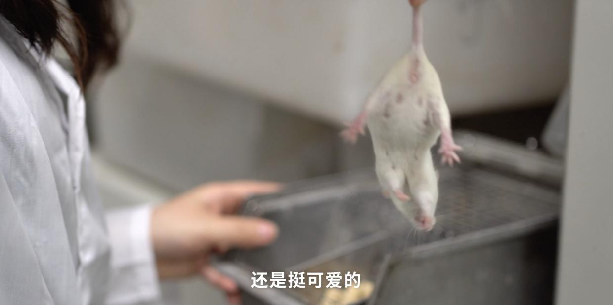 家中有蟑螂怎么一网打尽,家中发现一只蟑螂怎么办