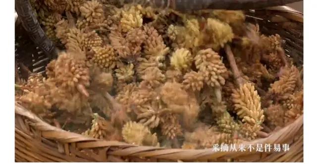 松花粉能和糯米粉一起煮吗,松花粉可以弄哪些美食