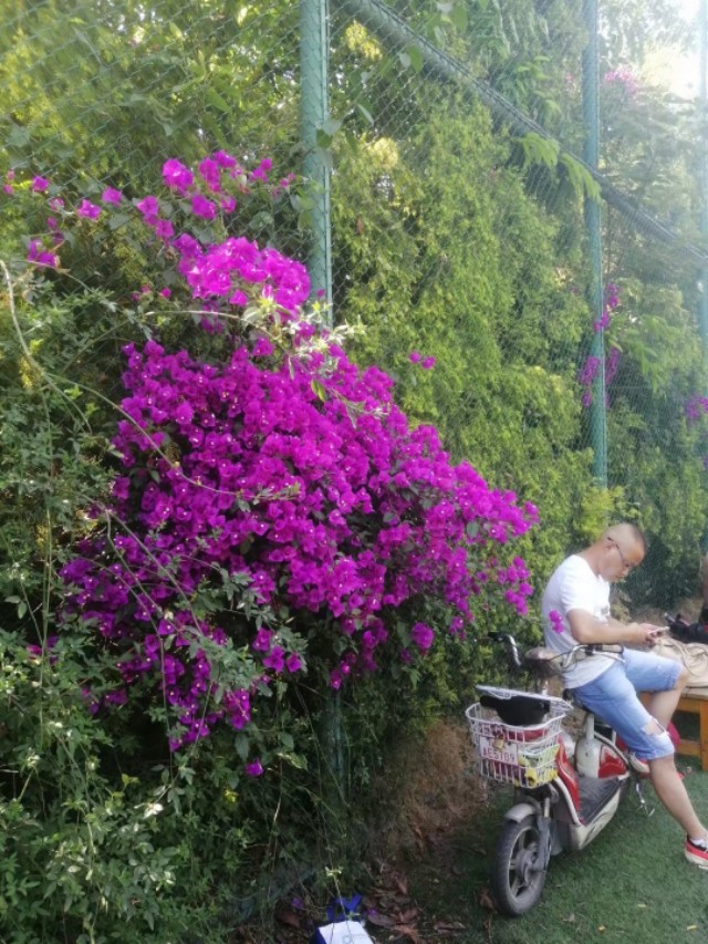 漫漫踢球路:疫情后的草根足球艰难前行,行进了派出所!