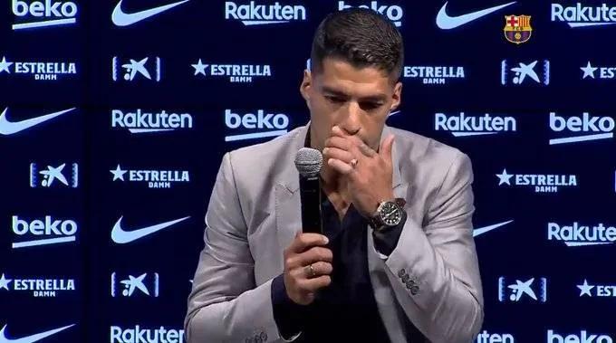 伊布新冠阳性,伊布是否得新冠