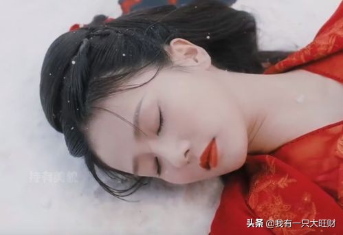 《周生如故》刘子行此生所求皆是漼时宜，可他至死不知爱强求不得