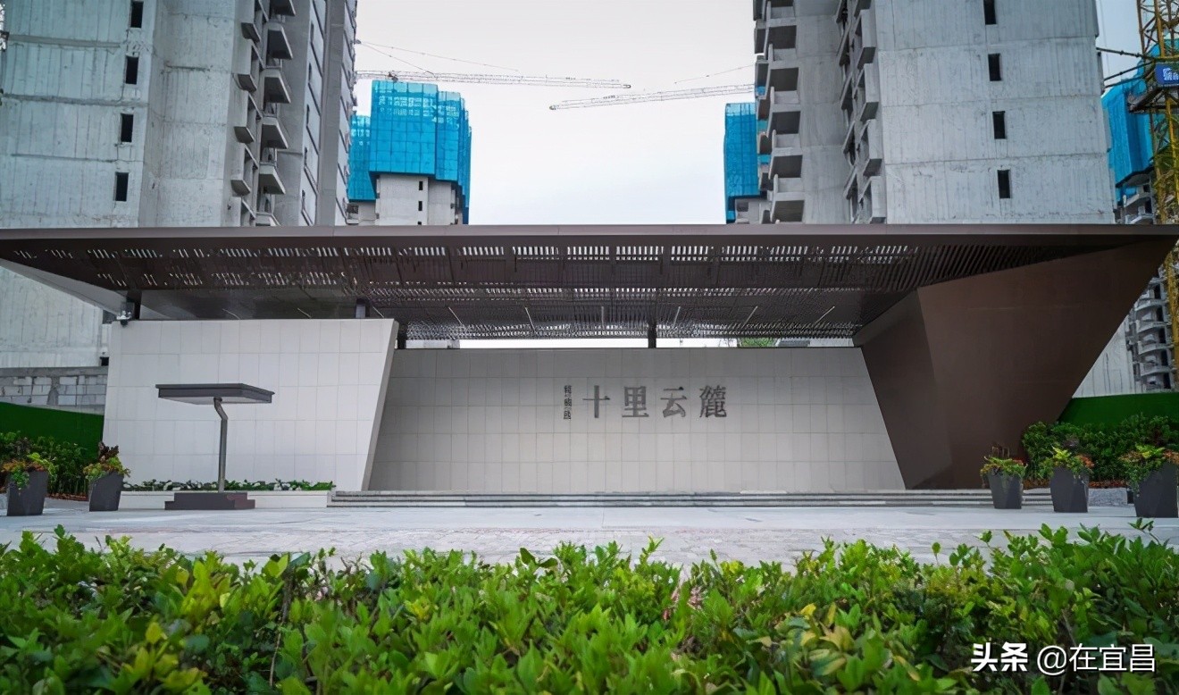 牛!这样的伍家岗,你怎能不爱