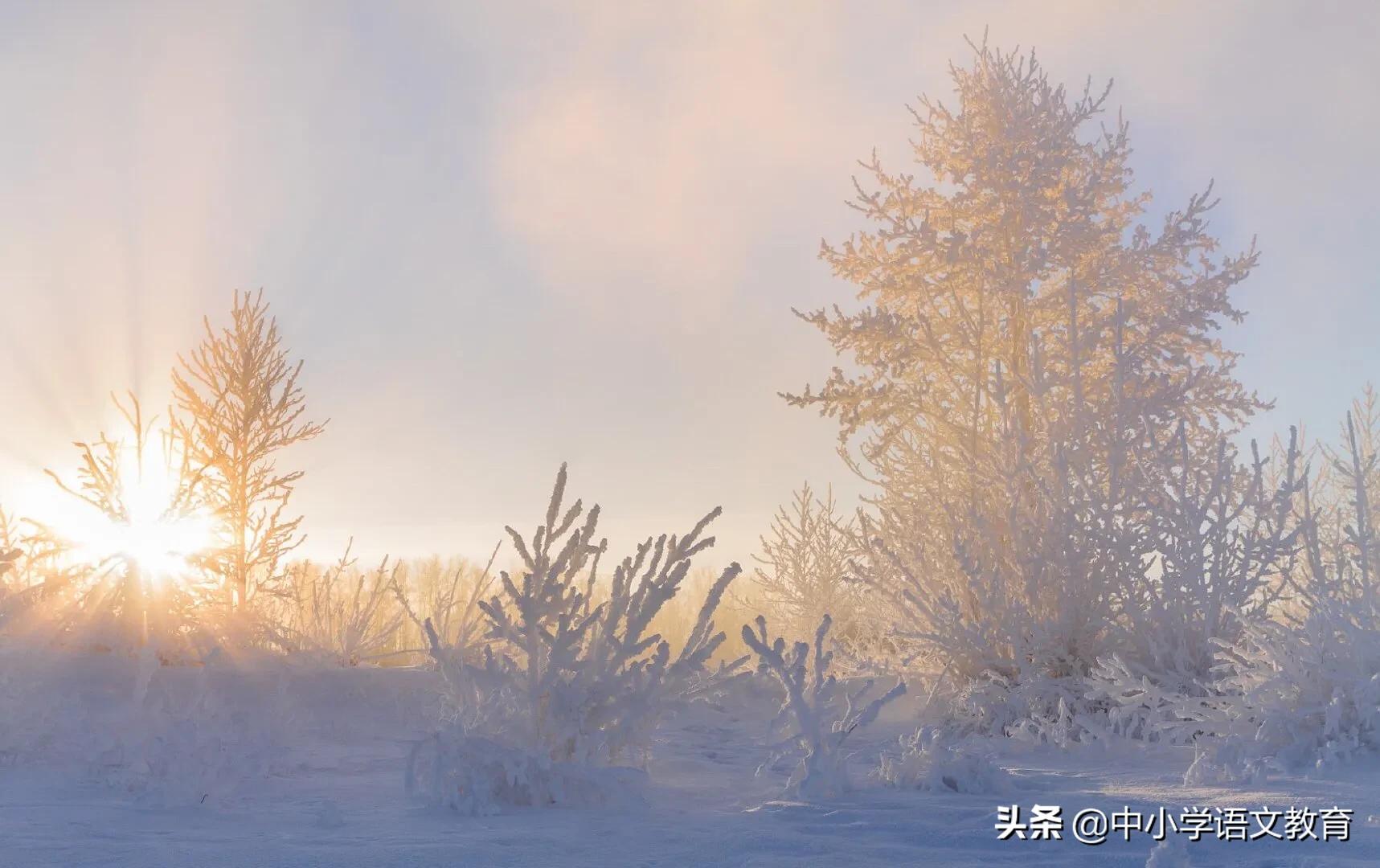 每日一课文言文阅读,每日一课寒假预习