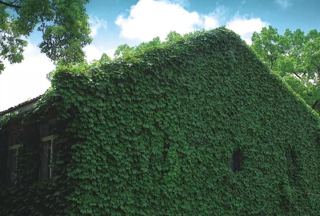 整个温州地区最好的中学,温州最好小学排名一览表