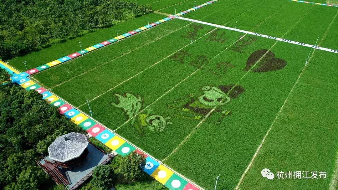 震撼！钱塘江畔出现巨型画作，有28个足球场这么大！