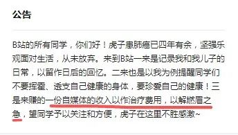 b站网红现状,b站大批网红失业断更