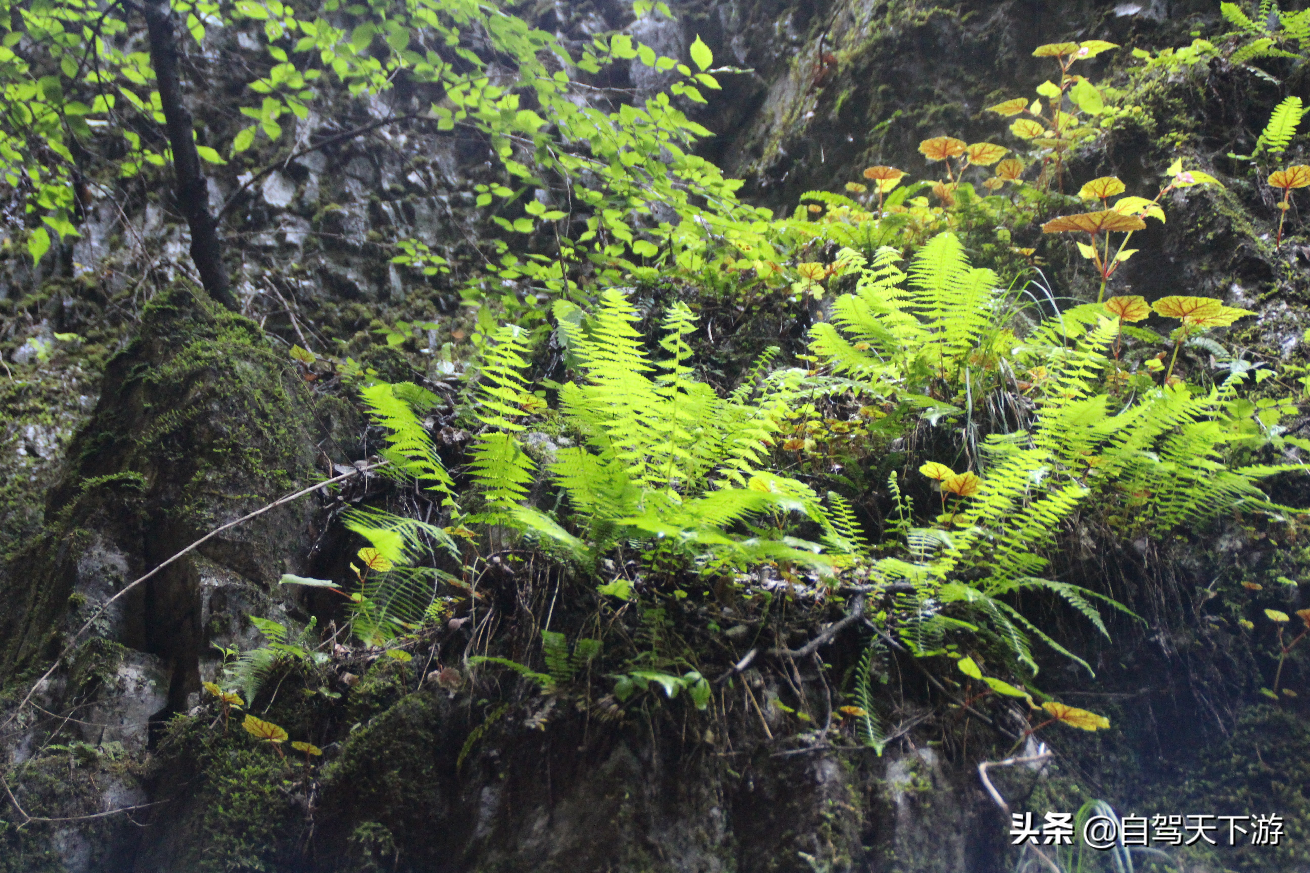 野三坡百里峡是什么样的,天下第一峡谷风景区