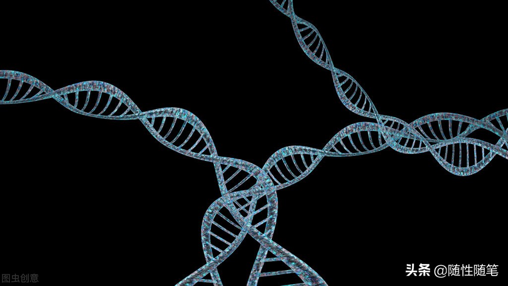 加强对员工的关怀,新员工关怀的措施