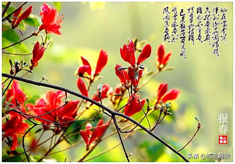 华为2012实验室博士薪资待遇,华为15级员工薪资2022