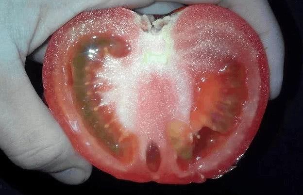 蔬菜吃不到从前那个味儿？土壤有问题！改变施肥采摘方法立马见效