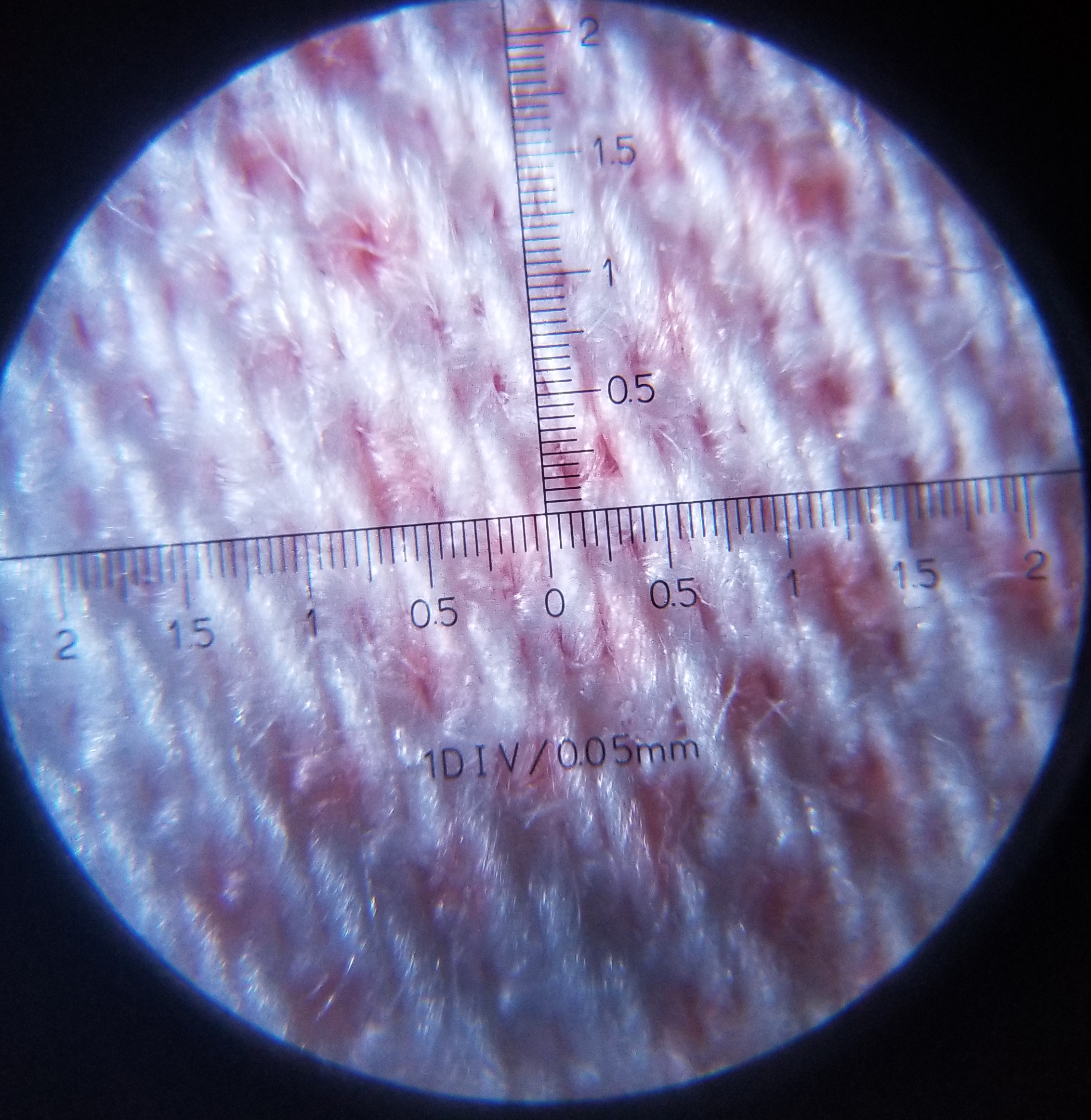磨毛四件套很好用,磨毛四件套好用