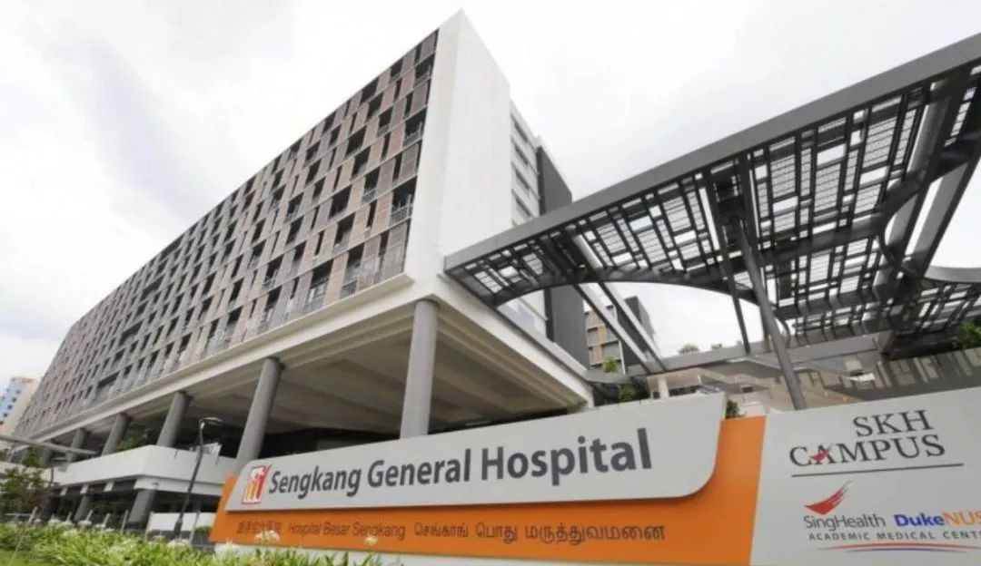 新加坡人口为什么这么少,新加坡最新人口比例