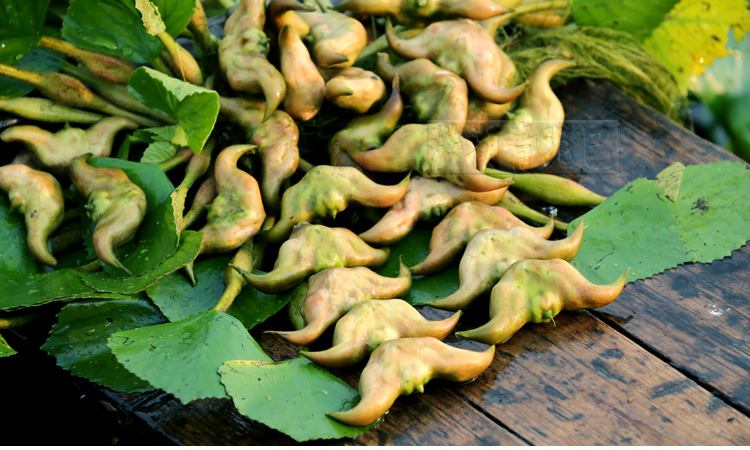 菱妹妹的前世今生,前世今生小说季雨菱