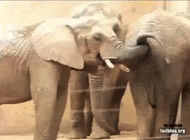 古人如何避孕不伤身体,古人如何避孕最有效