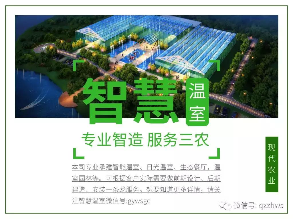 拼多多突破100万销量,2019年拼多多农产品交易额