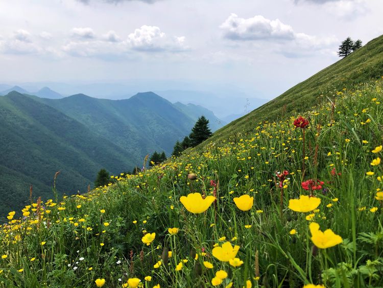小五台山哪里进入景区,小五台山春天景色