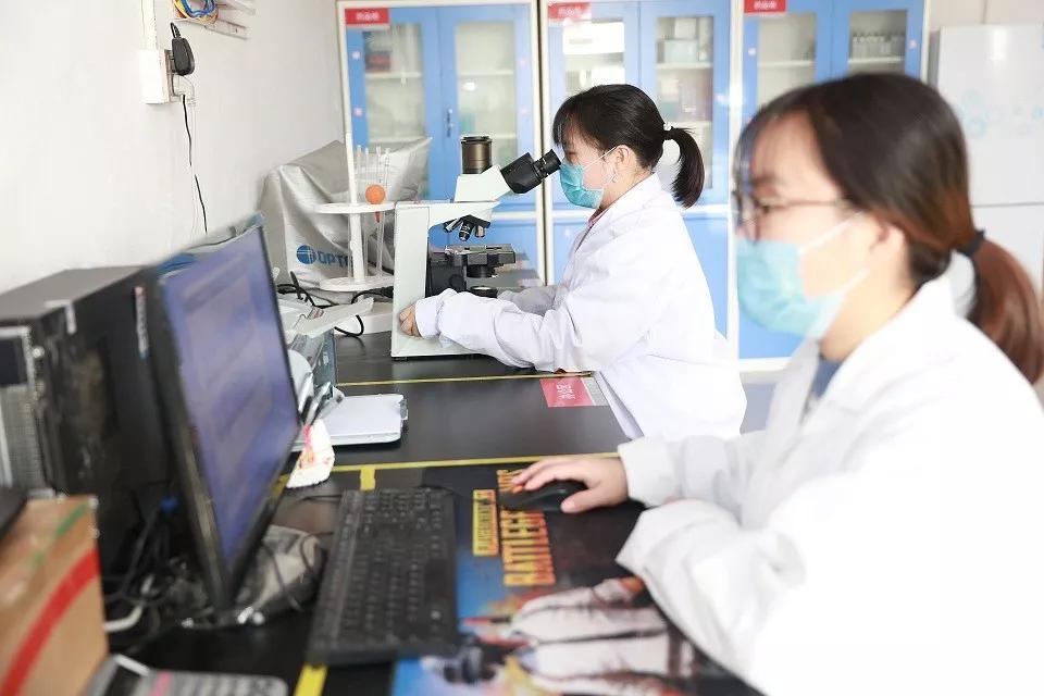 创一流业绩当好排头兵,创一流企业进展