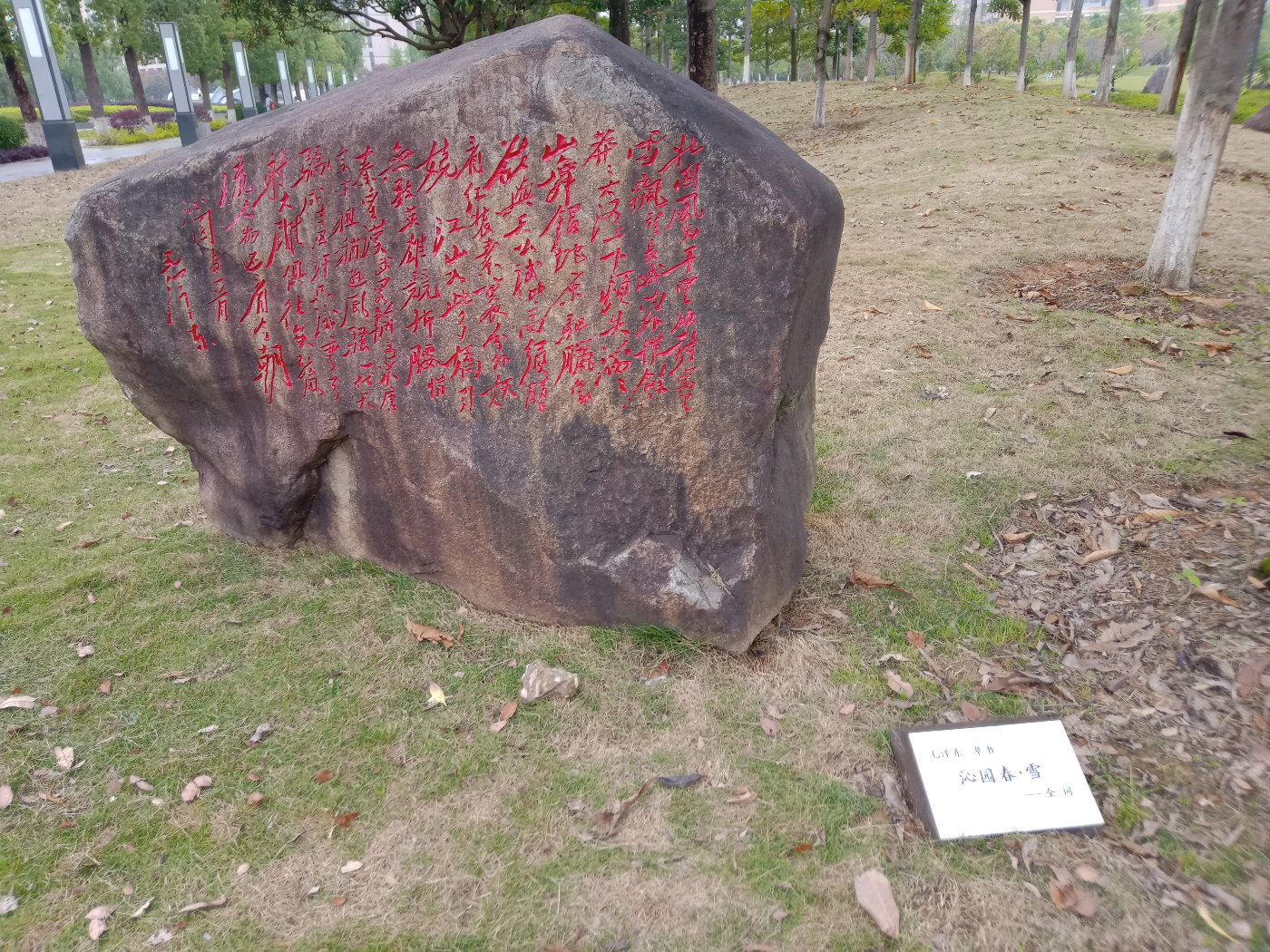 福州大学就像一座大公园，风景美到爆！最美的世界一流学科院校