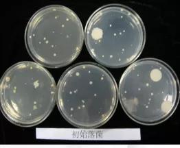 次氯酸水用途，杀菌，保鲜，抗氧化剂百分百安全无刺激灭菌无残留