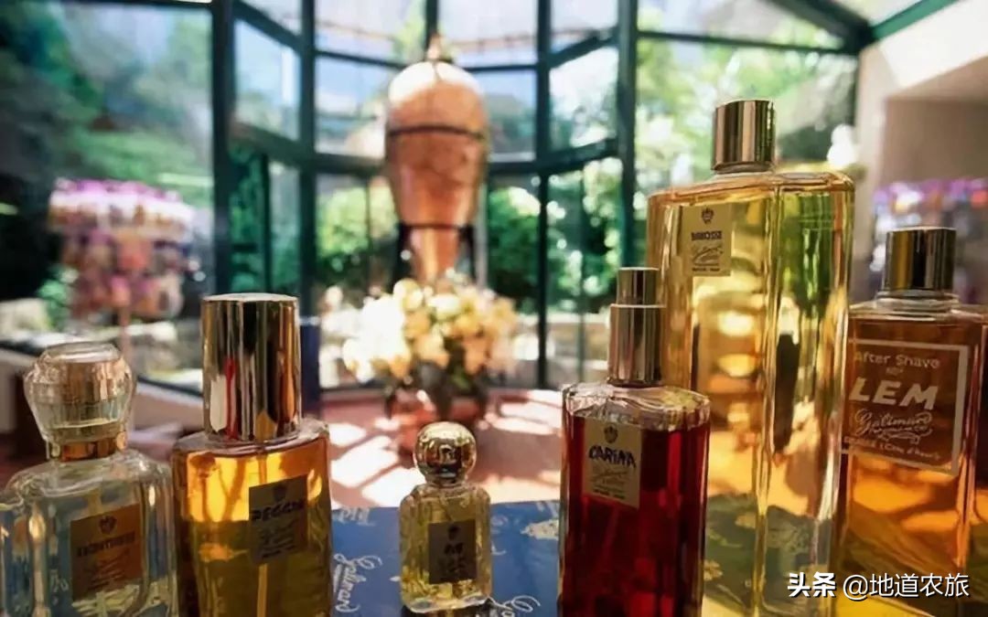 格拉斯小镇如何成为世界香水之都,格拉斯小镇被誉为香水之都的原因