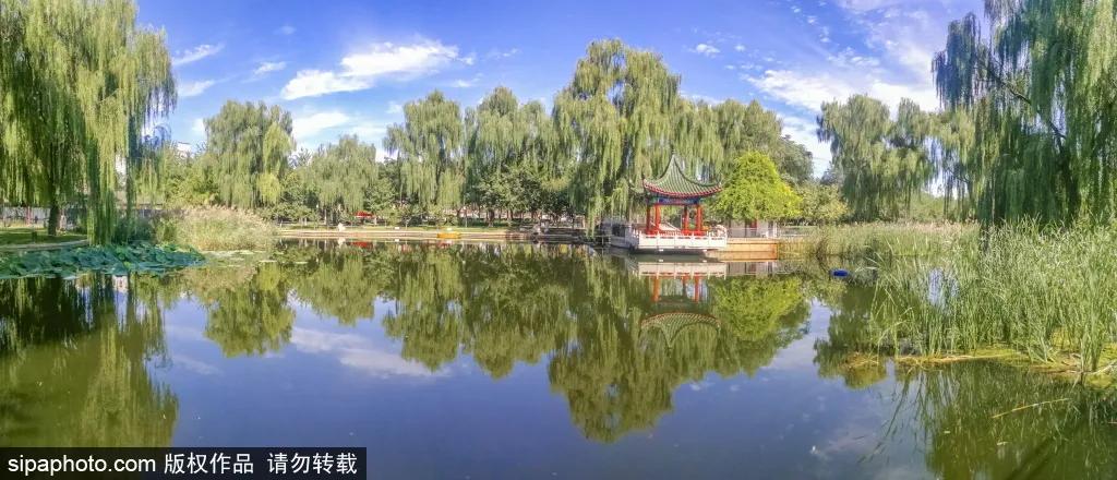 绿皮火车公园打卡景点,各种各样的免费公园