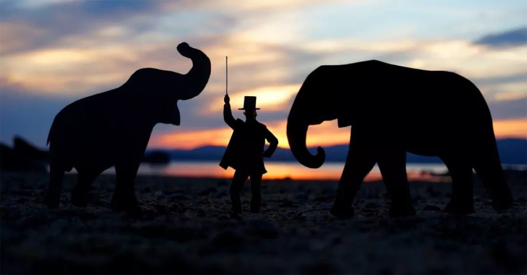 这个男人拍的漫画剪影，小孩看笑了，大人却哭了......