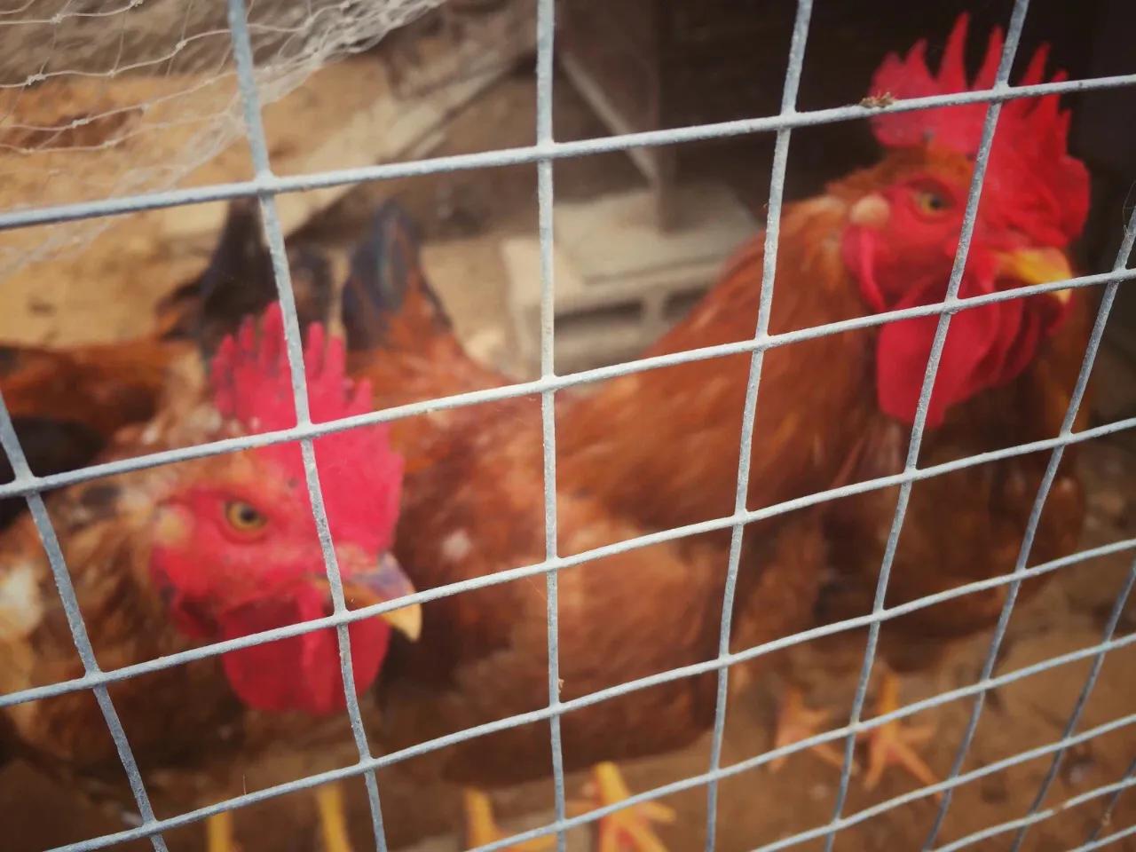 辽东半岛小渔村,辽南小渔村