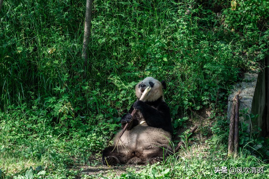 陕西十大避暑小城市,陕西适合养老的4个优美小城