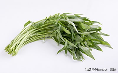 常州地区全年露天种植蔬菜时间表,常见露天蔬菜种植时间表