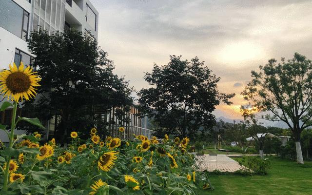 民宿时光20度,民宿时光