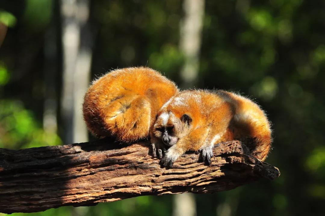 不远的旅游景点推荐,不远不贵不累8个国内亲子游