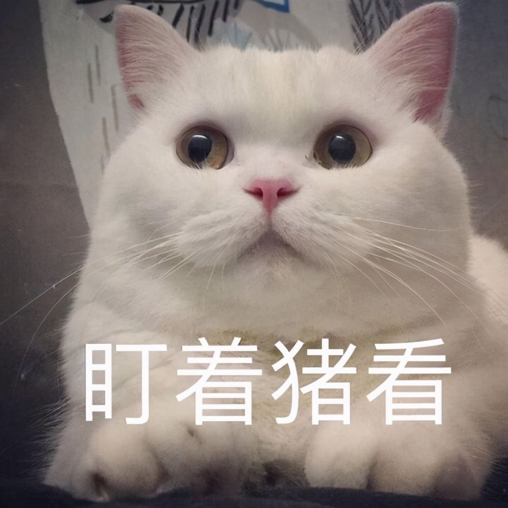 猫咪打喷嚏眼睛有分泌物,猫咪一只眼睛红有分泌物