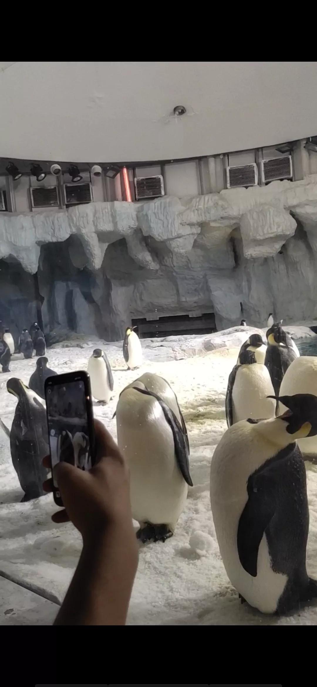 珠海长隆海洋王国二日游攻略,珠海长隆海洋王国一日游详细攻略