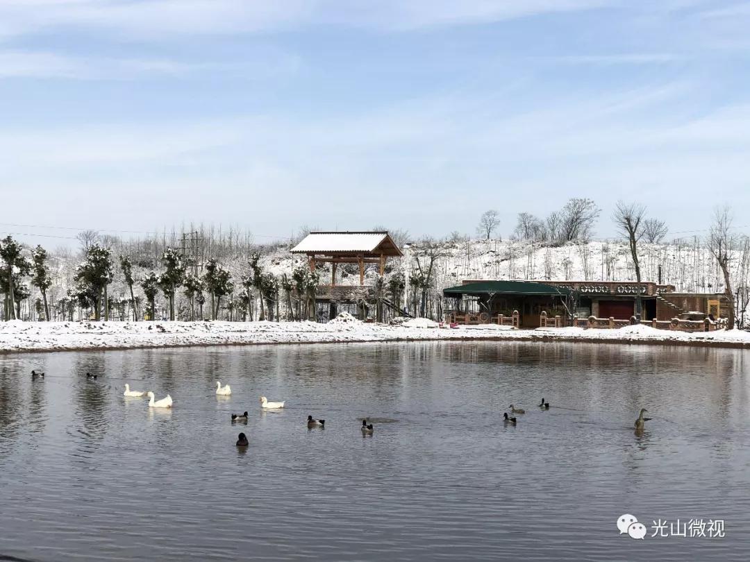替你“打卡”!疫情中的光山雪景