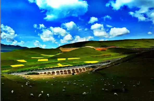 中国各地特产酒一览表,安徽各地特产一览表