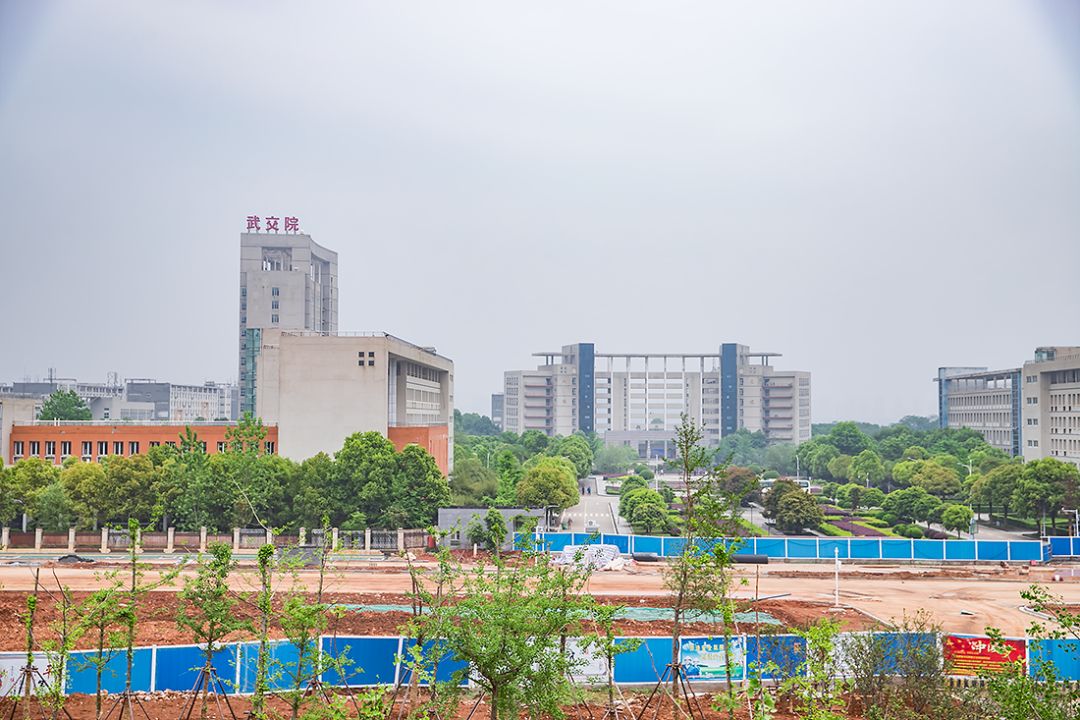 武科大算什么档次,武科大属于什么水平