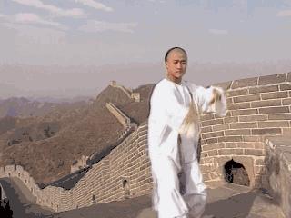 吴京拍战狼为什么没被偷票房,吴京凭借战狼斩获票房