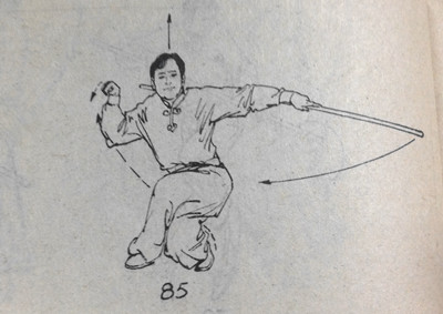 武术猴拳,武术猴拳视频