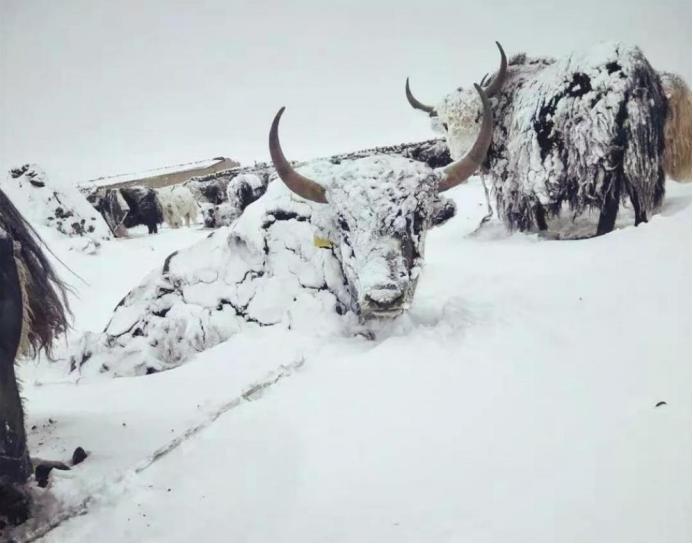 建安七子哪几个死于瘟疫,魏晋南北朝发生的重大事件