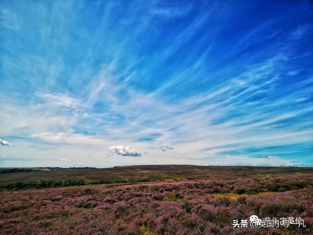 英国约克下一站？吸血鬼故乡，苏格兰边境小镇，别急着去爱丁堡